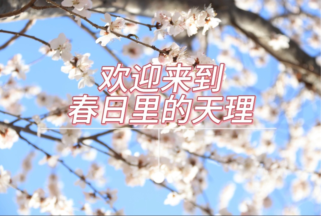 新奥门2024资料免费