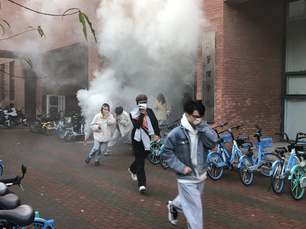 新奥门2024资料免费